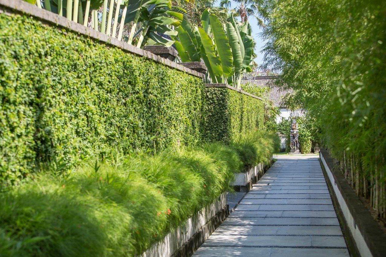 Villa Air Bali Boutique Resort And Spa Petitenget  Екстер'єр фото